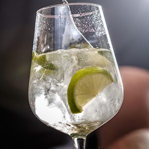Gin Tonic con gin pregiati